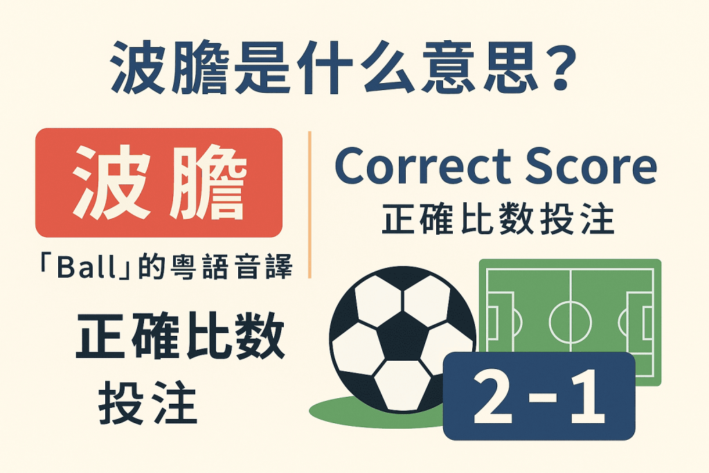 波膽定義與起源